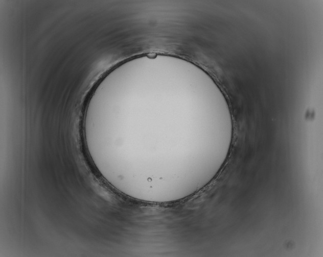 X0000101410098200807281035