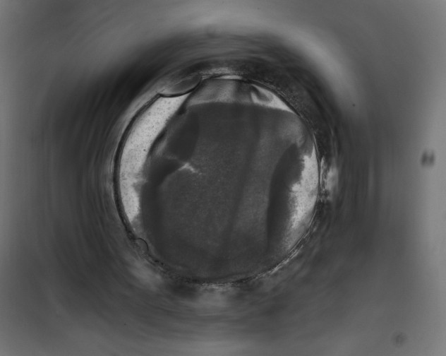 X0000101410099200807281035