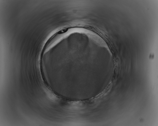 X0000101410100200807281035
