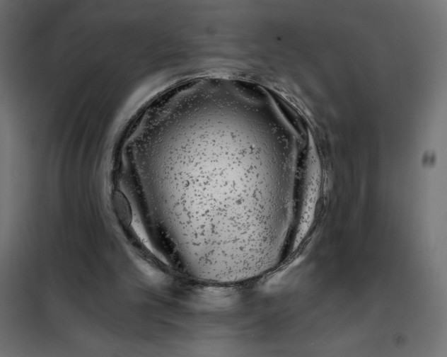 X0000101410101200807281035
