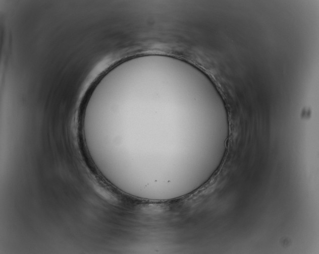 X0000101410102200807281035