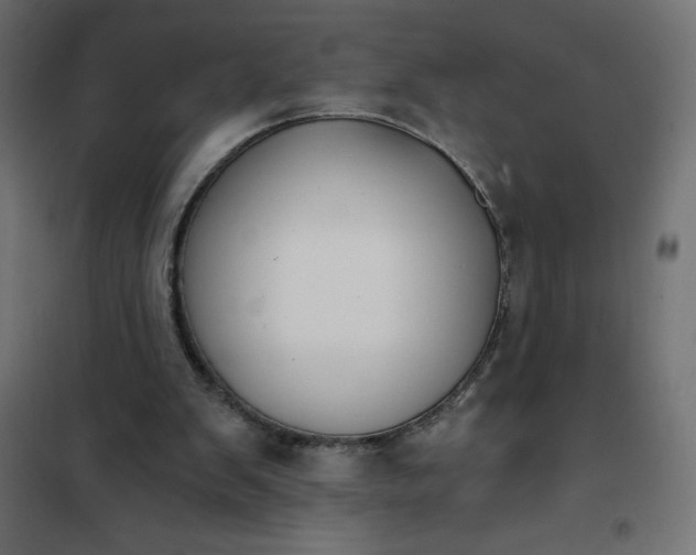 X0000101410103200807281035