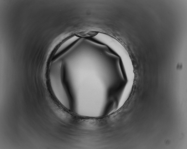 X0000101410104200807281035