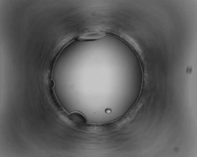 X0000101410105200807281035