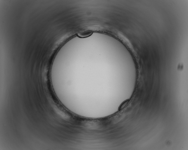X0000101410106200807281035