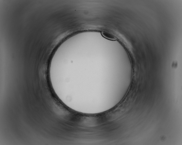 X0000101410107200807281035