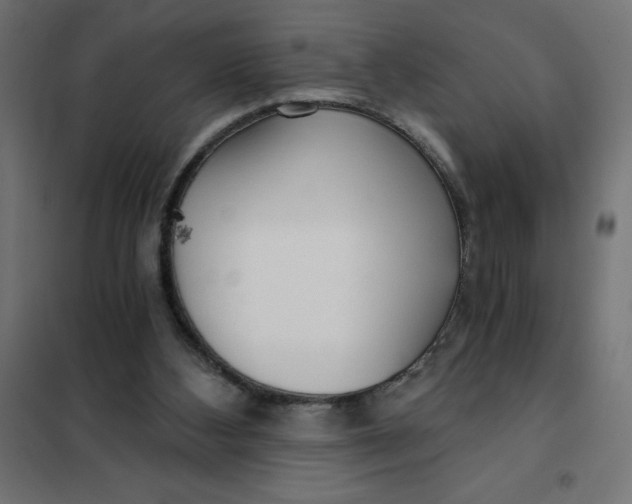 X0000101410108200807281035