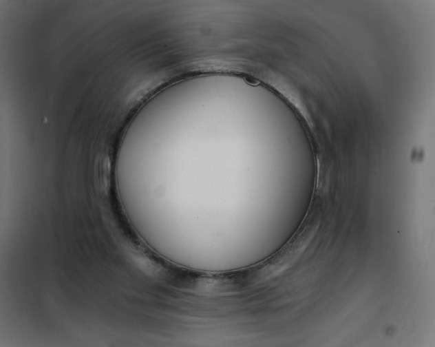X0000101410109200807281035