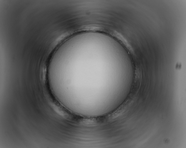 X0000101410110200807281035