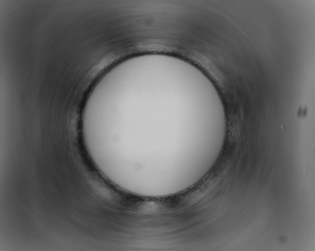X0000101410111200807281035