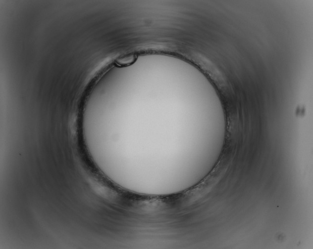 X0000101410112200807281035