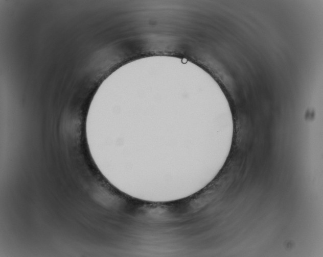 X0000101410113200807281035