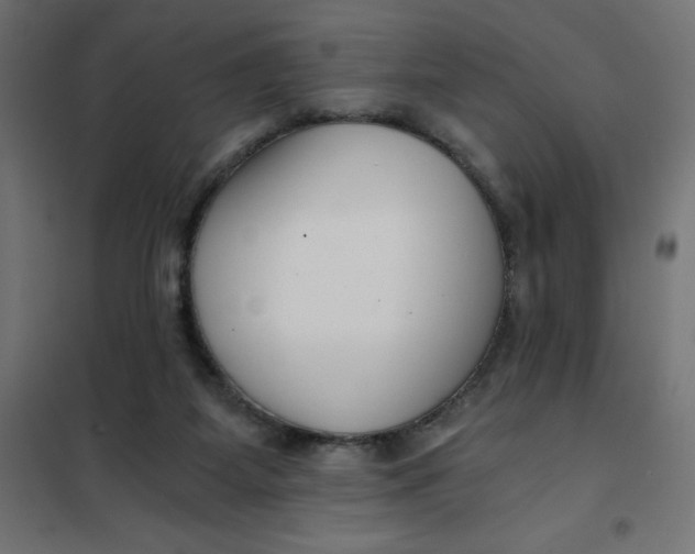 X0000101410115200807281035