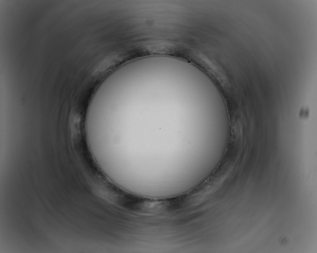 X0000101410117200807281035