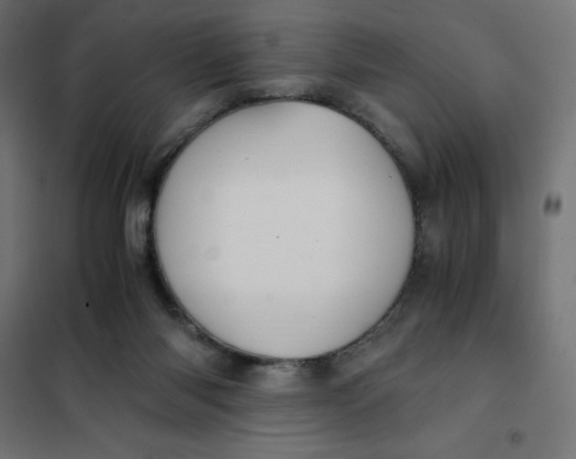 X0000101410118200807281035