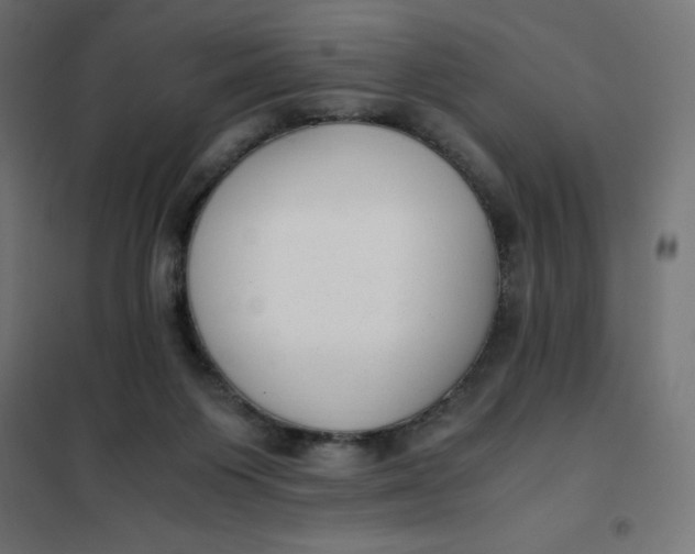 X0000101410119200807281035