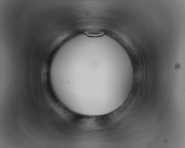 X0000101410120200807281035