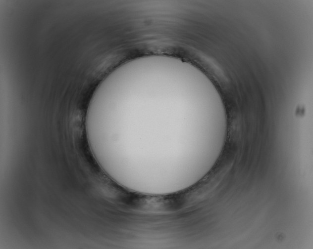X0000101410121200807281035