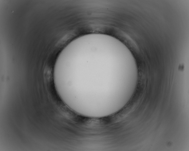 X0000101410123200807281035