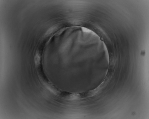 X0000101410124200807281035