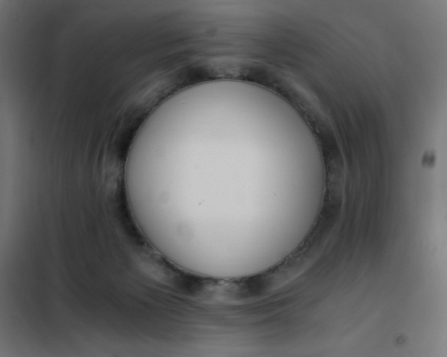 X0000101410125200807281035