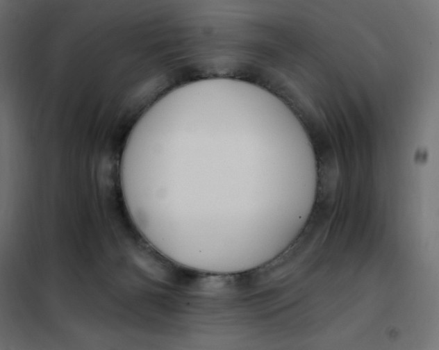 X0000101410126200807281035