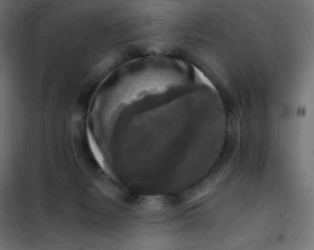 X0000101410127200807281035