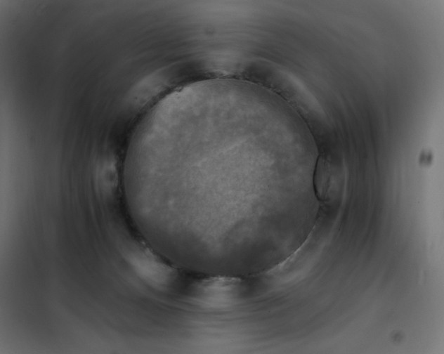 X0000101410128200807281035