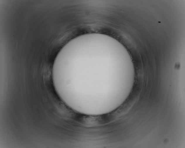 X0000101410129200807281035
