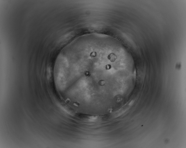 X0000101410130200807281035