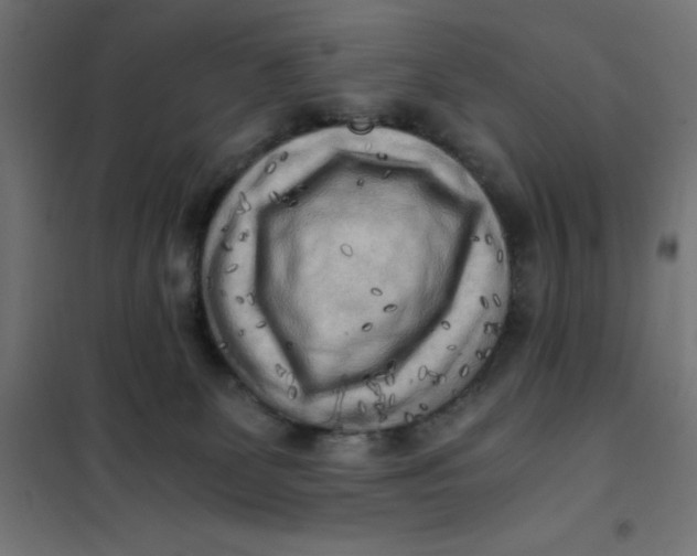X0000101410131200807281034