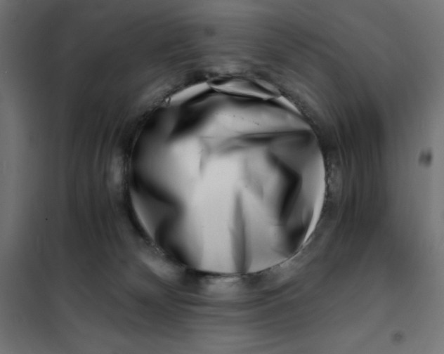 X0000101410132200807281034
