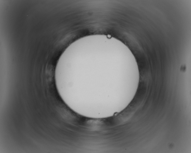 X0000101410133200807281034