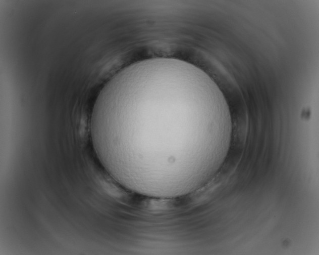 X0000101410134200807281034