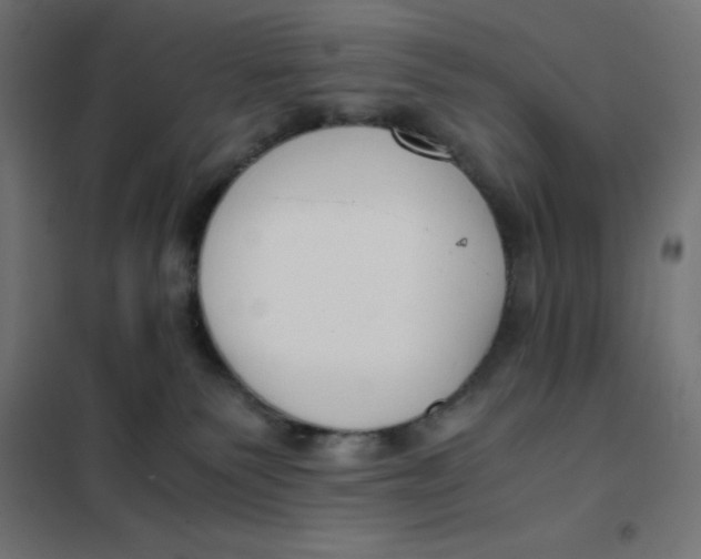 X0000101410135200807281034