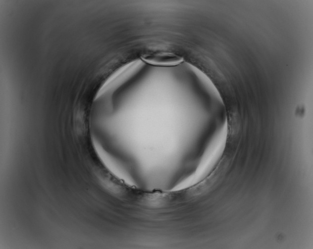 X0000101410136200807281034