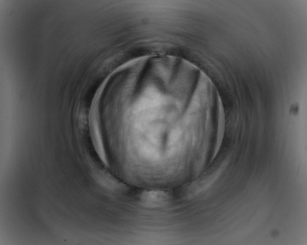 X0000101410137200807281034
