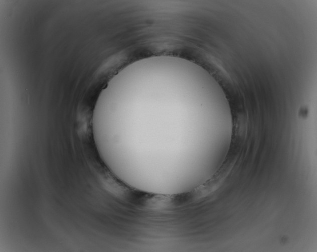 X0000101410138200807281034