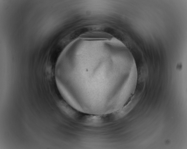 X0000101410140200807281034