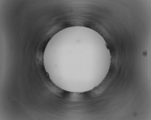 X0000101410141200807281034