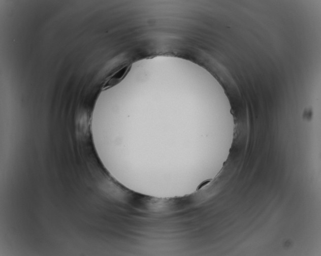 X0000101410142200807281034