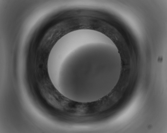 X0000101410143200807281034
