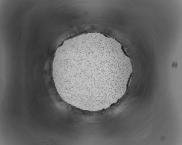 X0000101410144200807281034