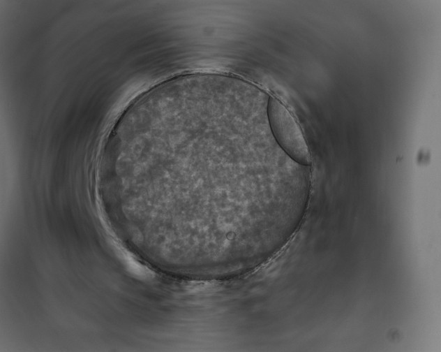 X0000101410145200807281033
