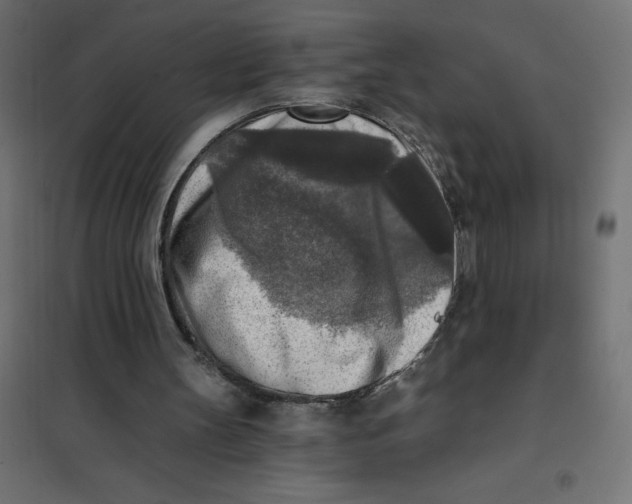 X0000101410147200807281033