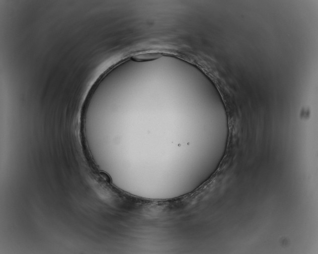 X0000101410148200807281033