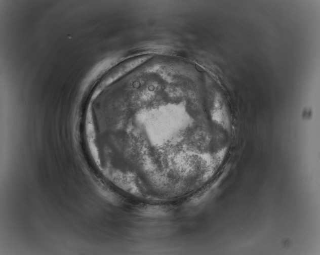 X0000101410149200807281033