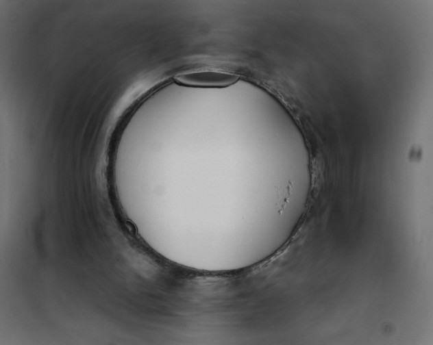 X0000101410150200807281033