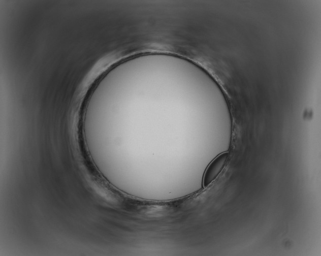 X0000101410151200807281033