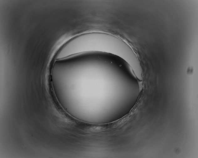 X0000101410152200807281033